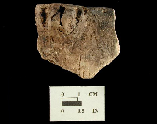 Shepard rim sherd with lug, from Biggs Ford site 18FR14/1.